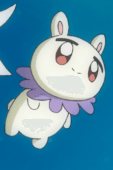 フラワーペット