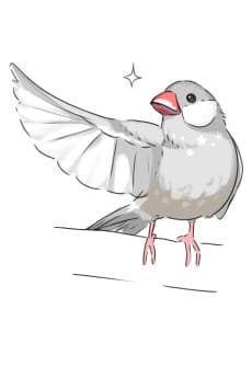 ピエルカルロ