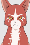 猫竜