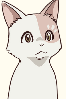 シロタエ