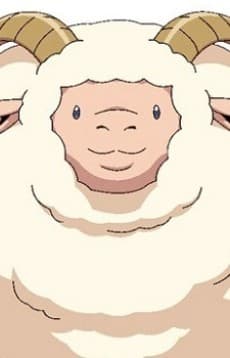 フランシス