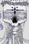 死霊の仮面