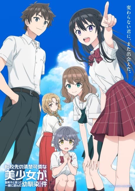 転校先の清楚可憐な美少女が、昔男子と思って一緒に遊んだ幼馴染だった件