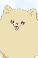 ぽん太