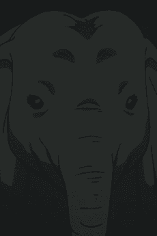 フランソワ